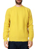 Maglia