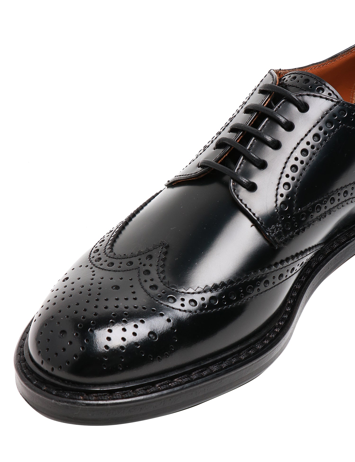 scarpa horse