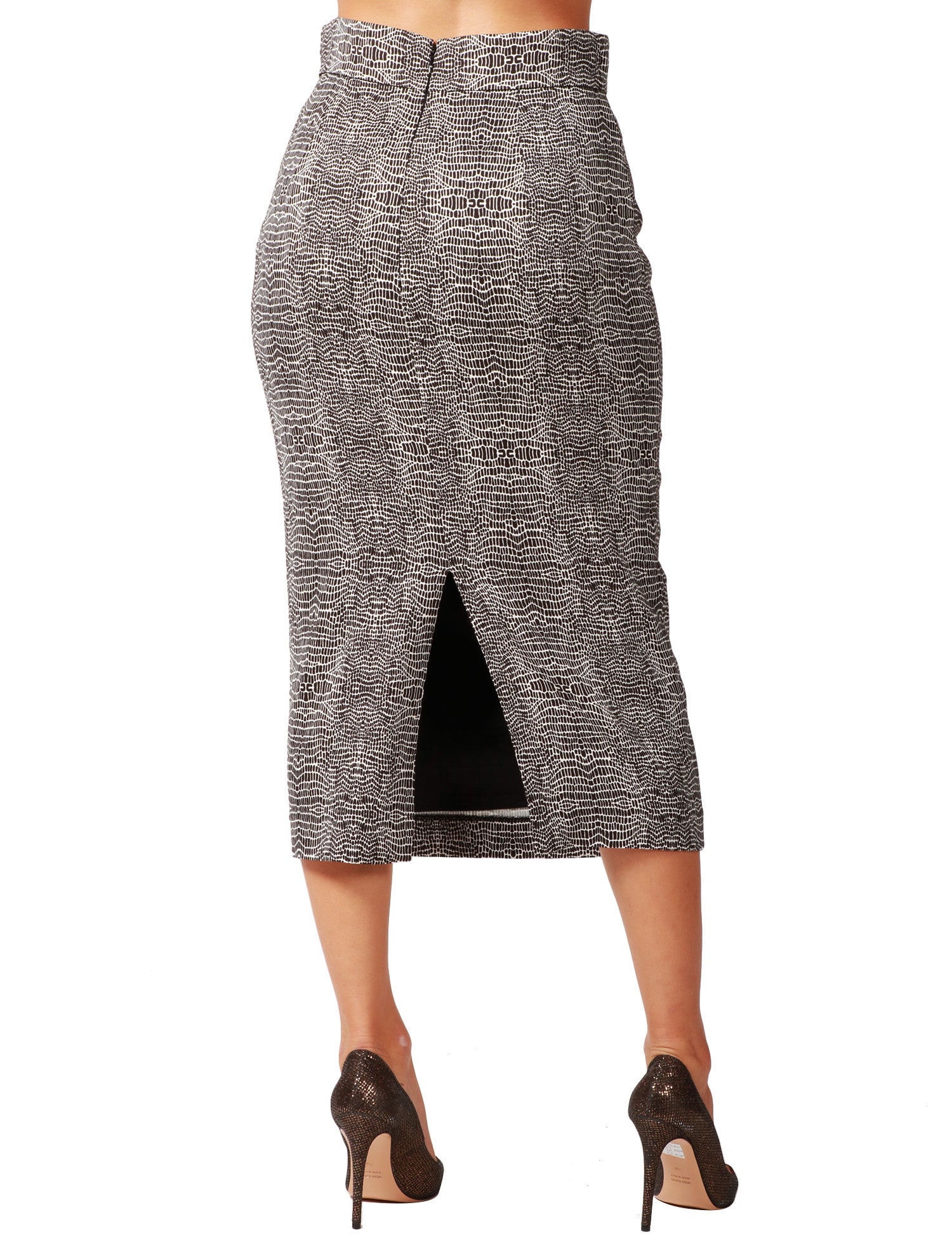 252-elisabetta-franchi-go14157e21101p.jpg
