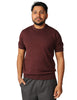 Maglia uomo alpha studio cioccolato girocollo a mezze maniche 100% light cotton