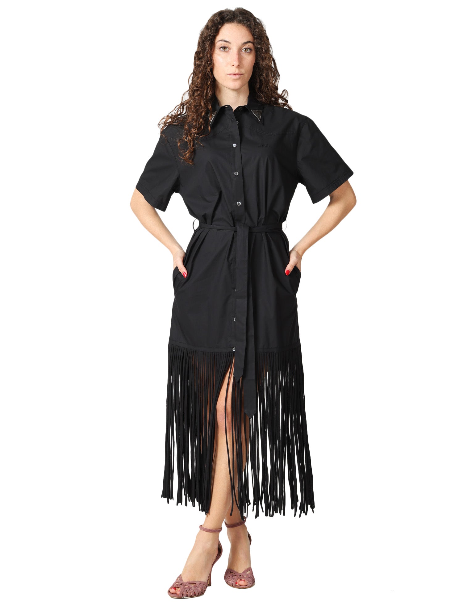 261-pinko-aviglianoz99.jpg