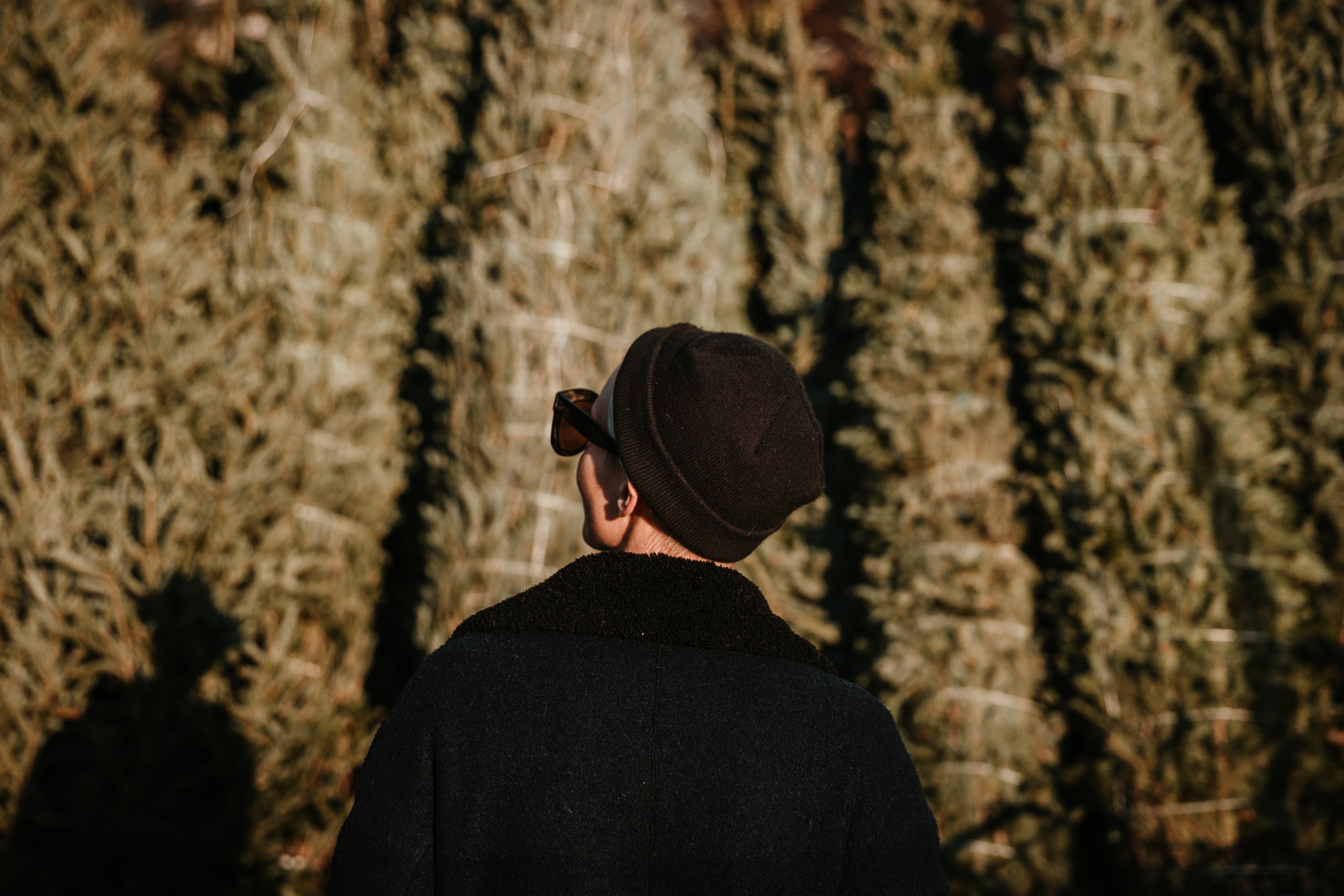 young-woman-looking-into-the-trees.jpg